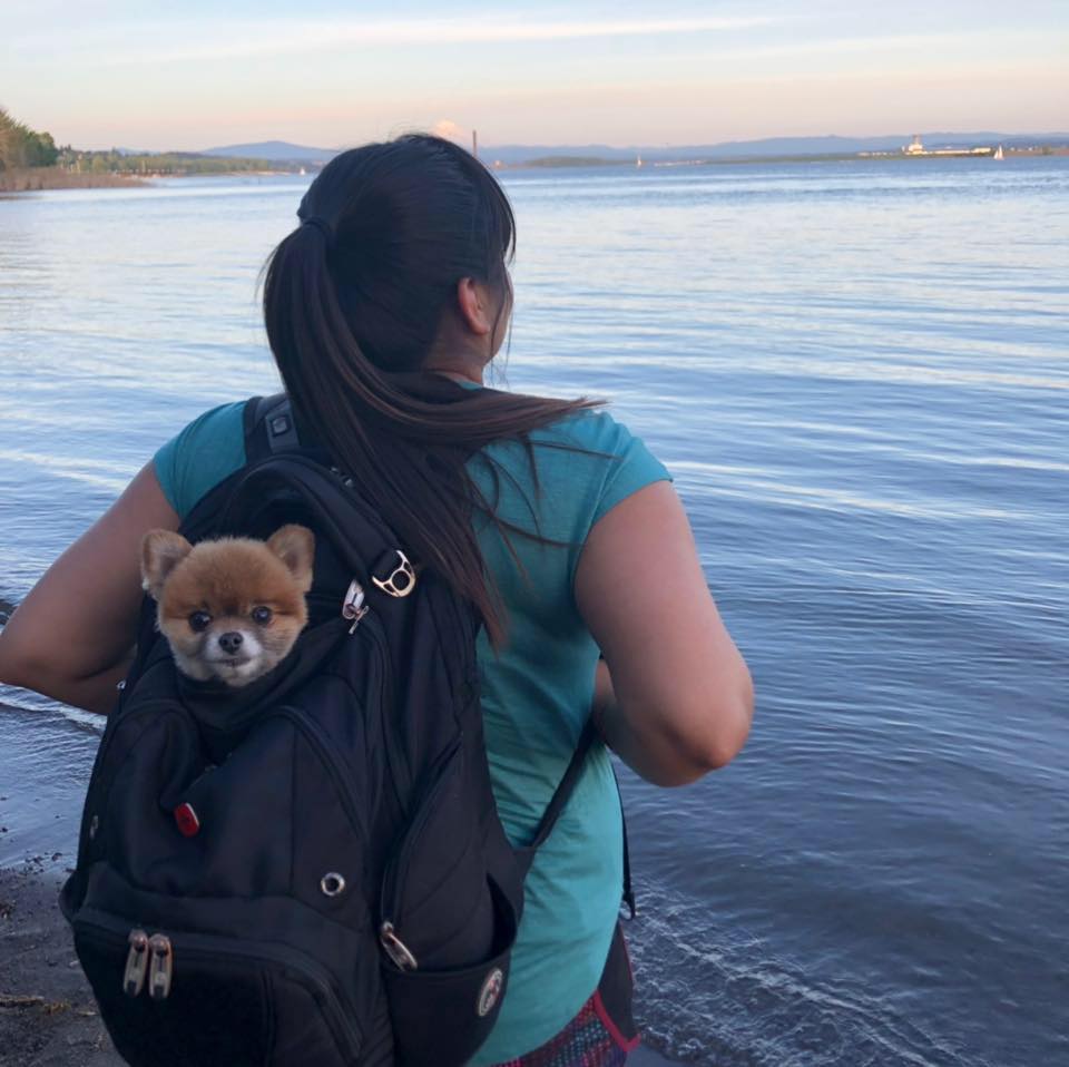 girl with dog in backpack